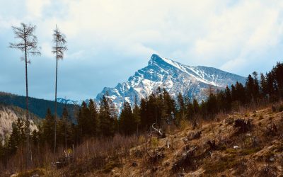 Tatry